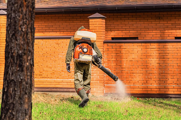 Trusted Ant Control service in Collinsburg, PA - Nex Pest Control